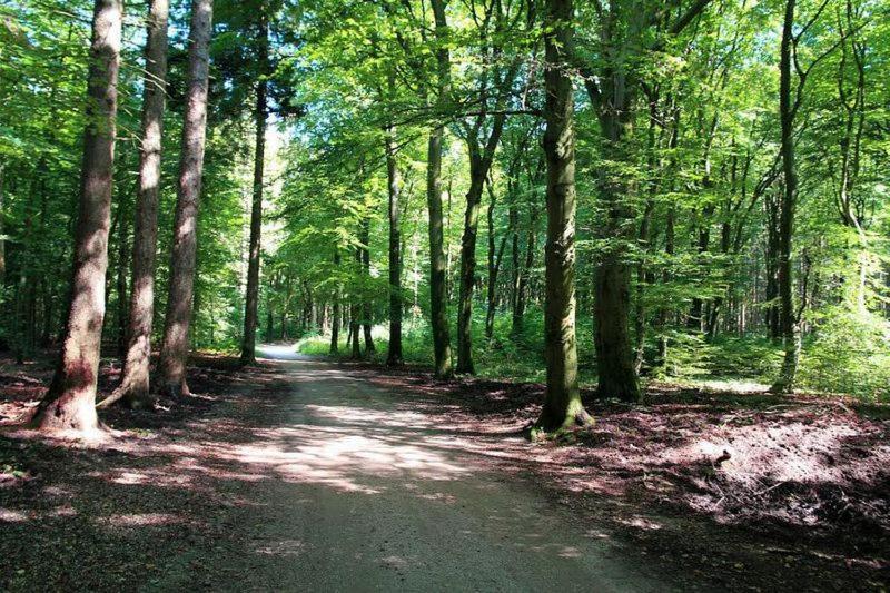 Chalet 'T Veluws Stulpje "Geniet, Ontspan En Droom Even Lekker Weg!" Putten Dış mekan fotoğraf